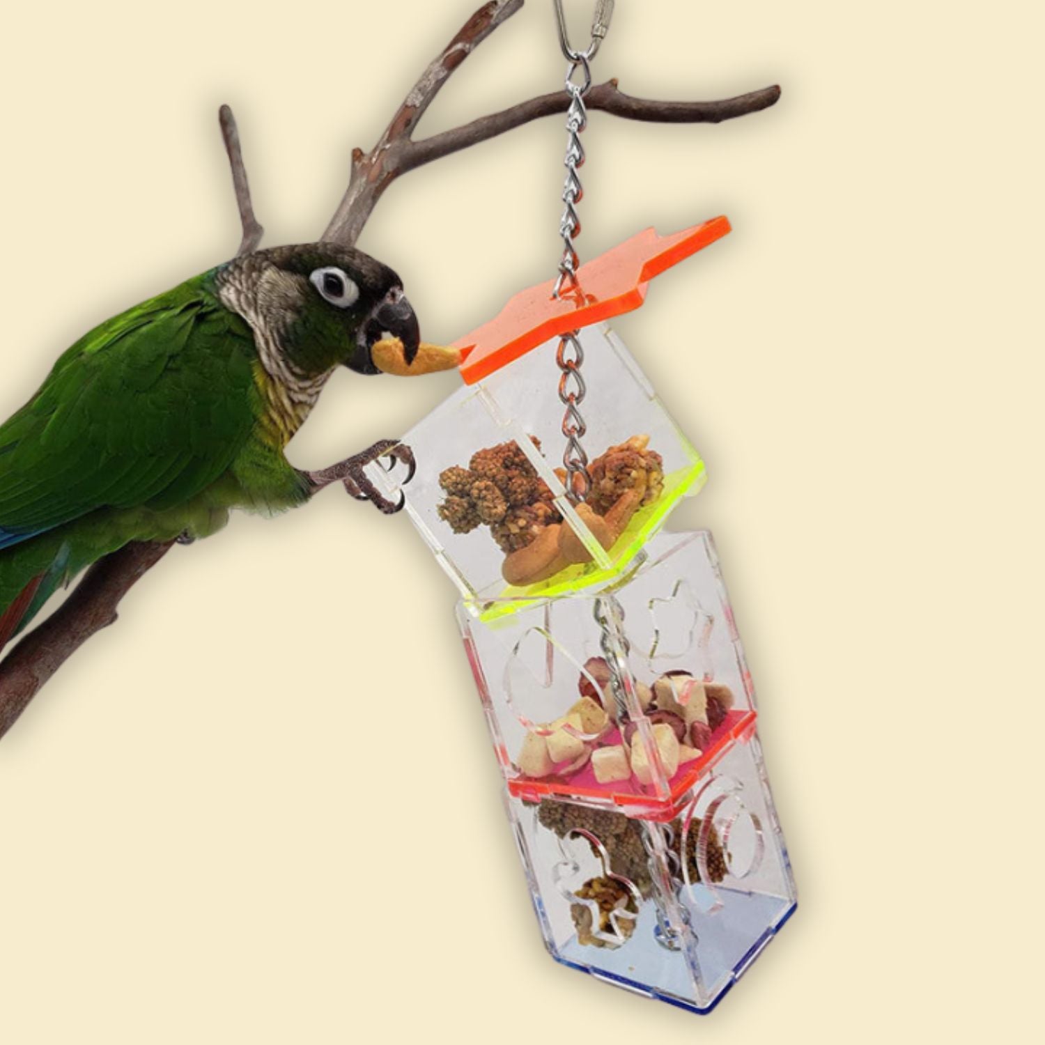 interactief voedsel zoekapparaat vogel eet voer uit hangende kubussen